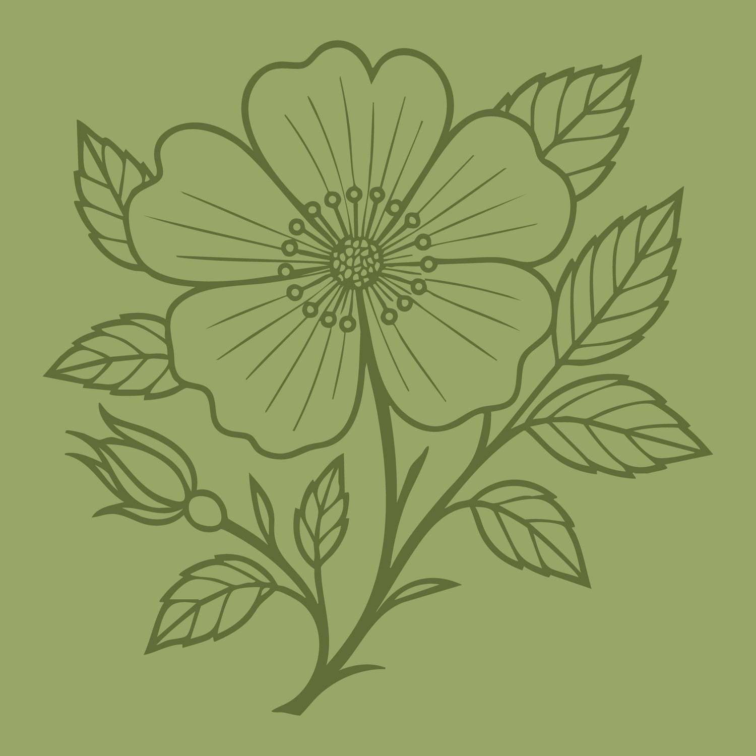 GREEN / BLUE / PURPLE