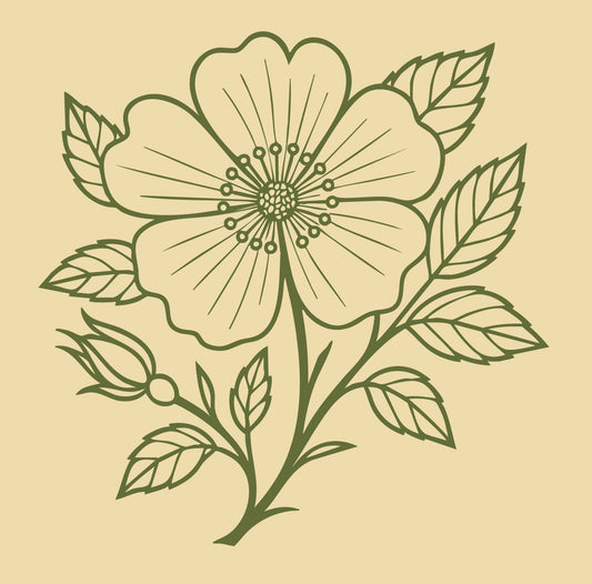 Quatre Saisons Blanc