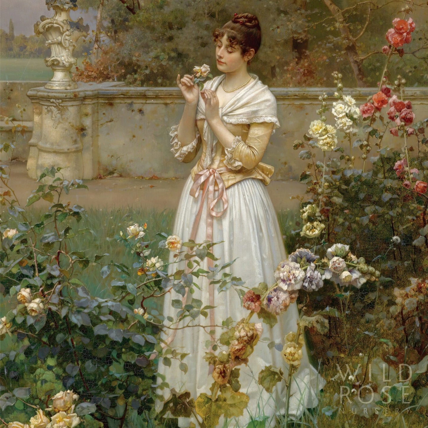 Wild Rose Nursery Gift Card